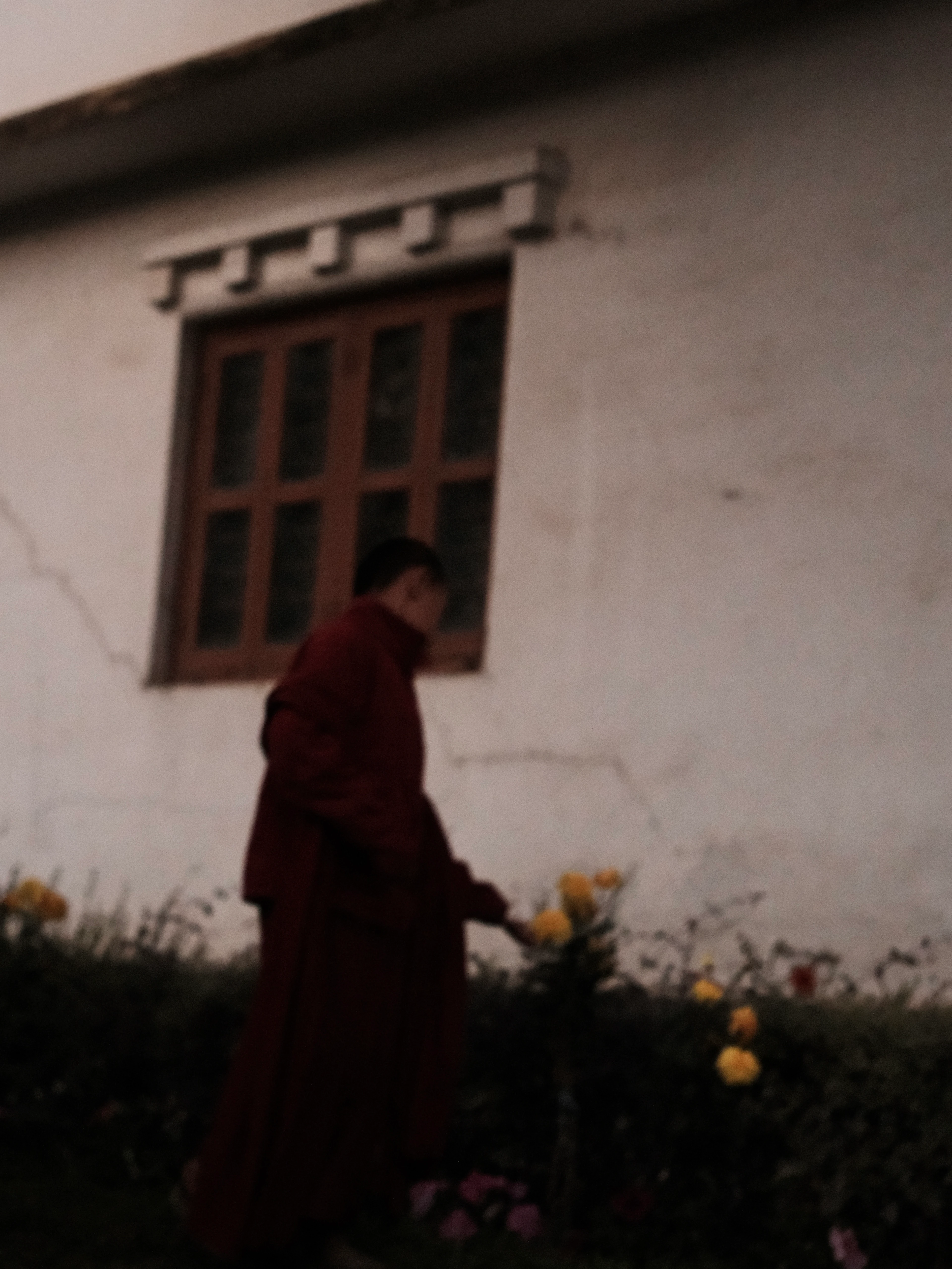 Satya #6