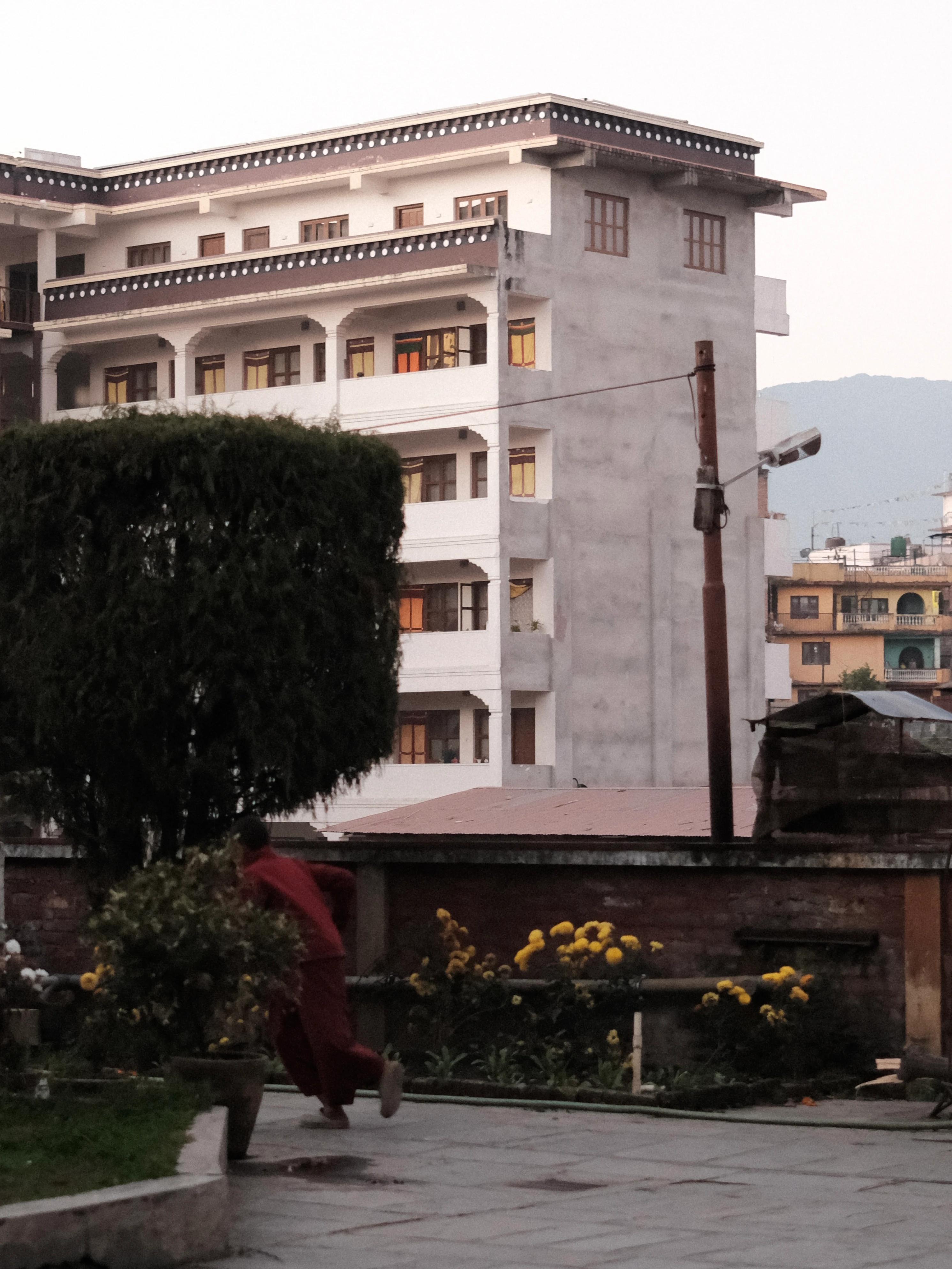 Satya #7