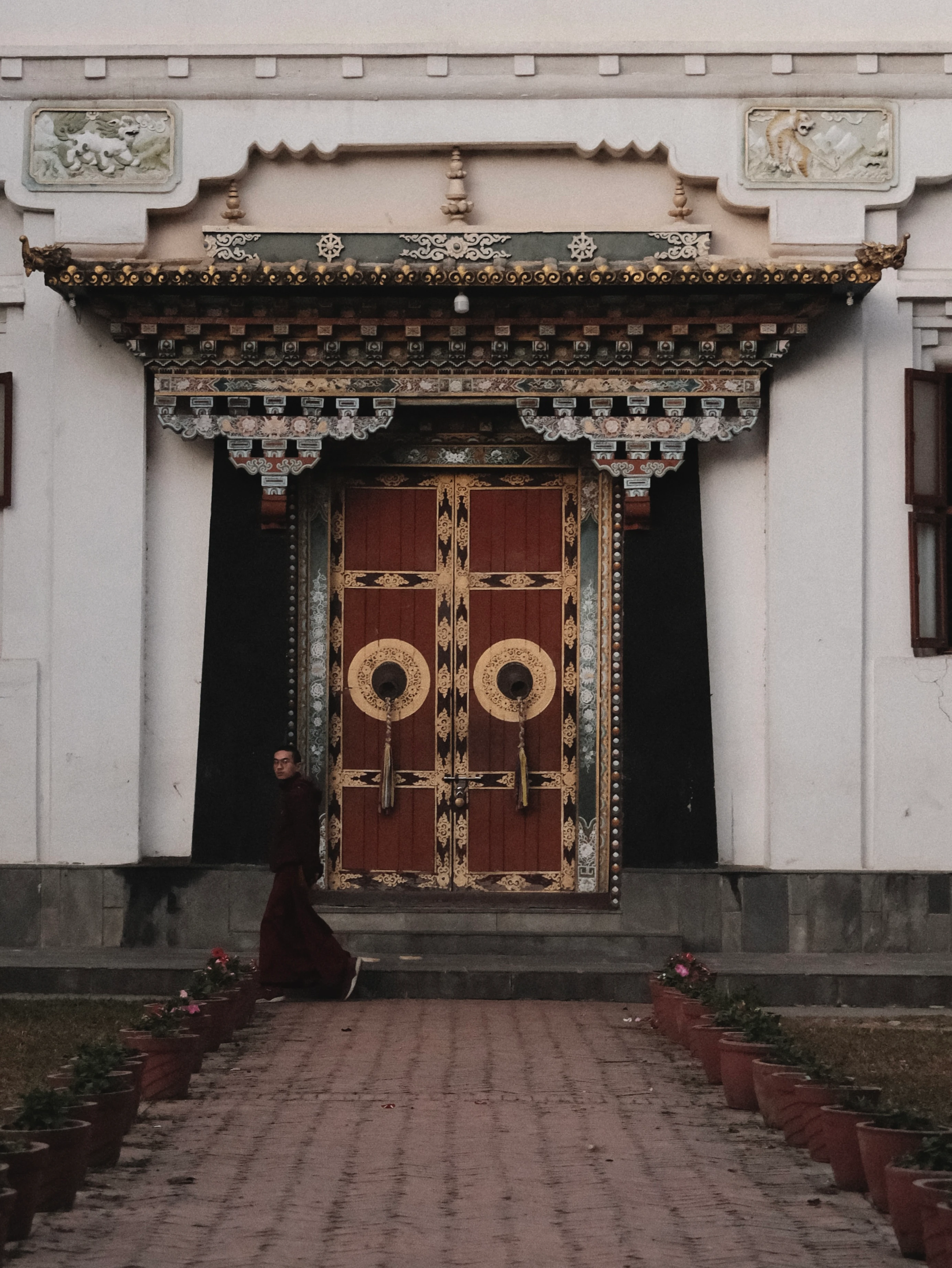Satya #8